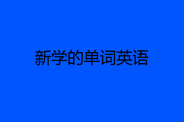 新学的单词英语