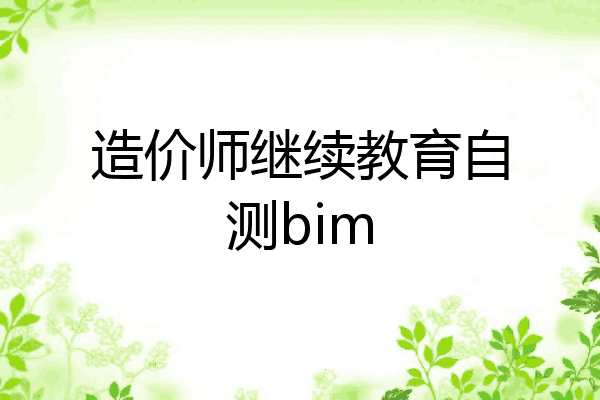 造价师继续教育自测bim