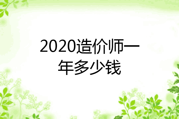 2020造价师一年多少钱