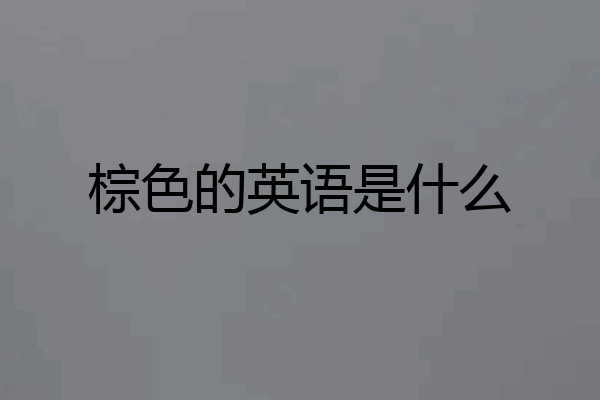 棕色的英语是什么