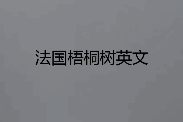 法国梧桐树英文