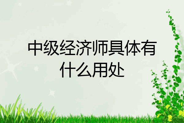 中级经济师具体有什么用处