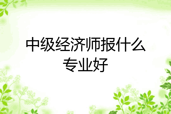 中级经济师报什么专业好
