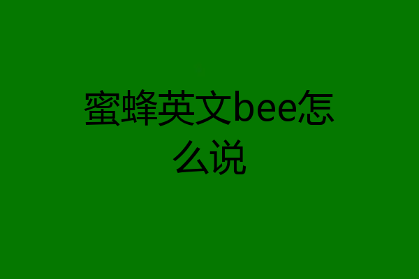 蜜蜂英文bee怎么说