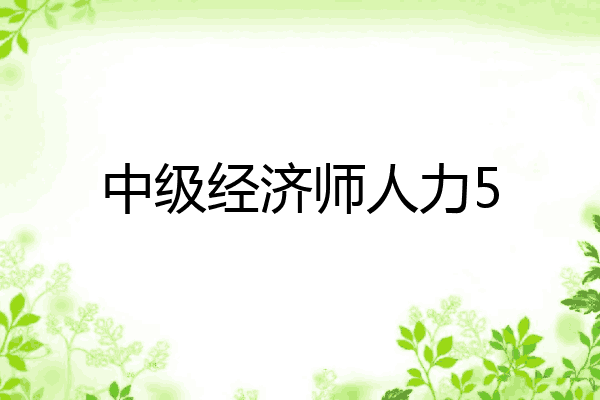 中级经济师人力5
