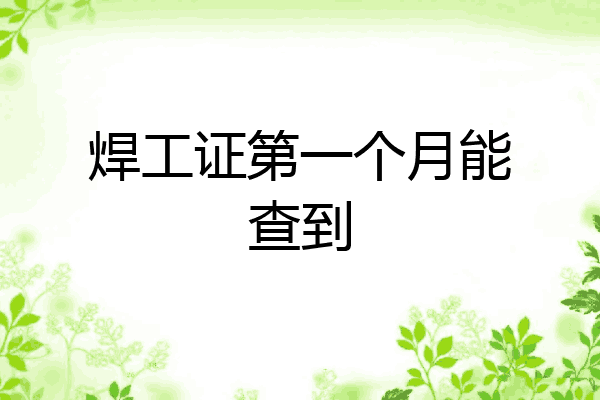 焊工证第一个月能查到