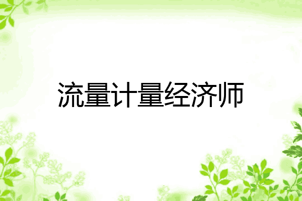 流量计量经济师