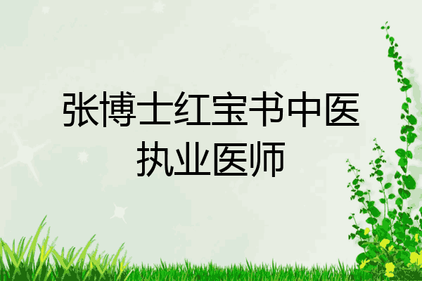 张博士红宝书中医执业医师