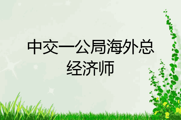 中交一公局海外总经济师