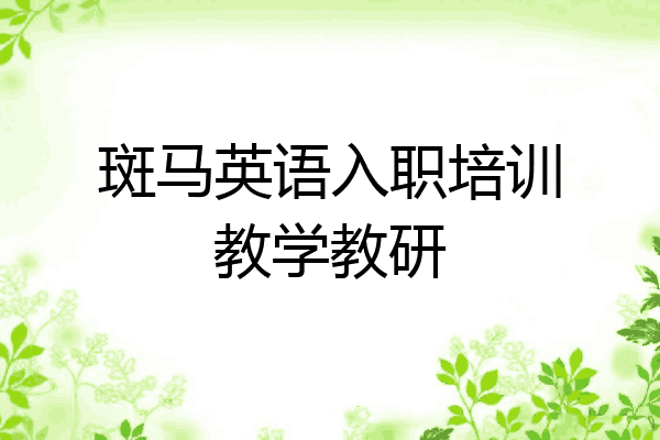 斑马英语入职培训教学教研