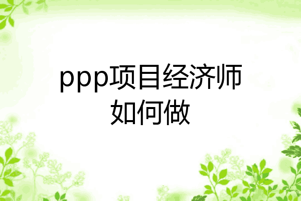 ppp项目经济师如何做