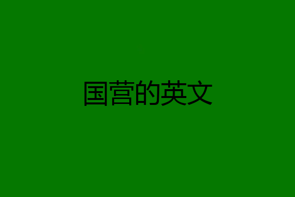 国营的英文