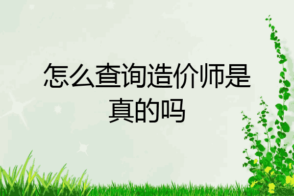 怎么查询造价师是真的吗