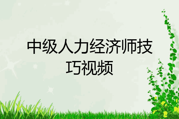 中级人力经济师技巧视频