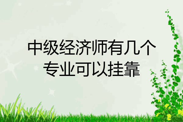 中级经济师有几个专业可以挂靠