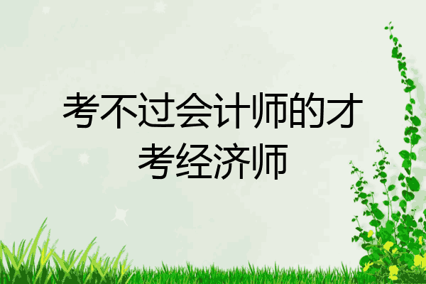 考不过会计师的才考经济师