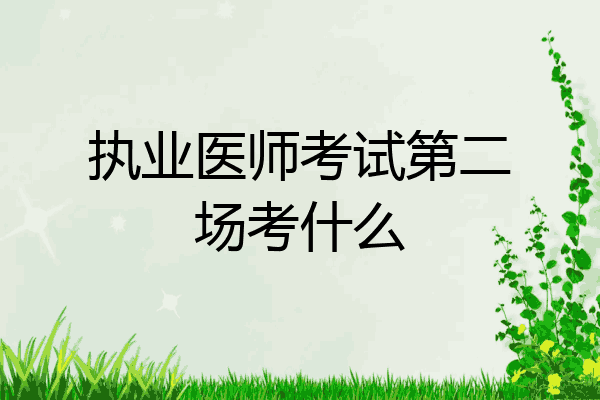 执业医师考试第二场考什么