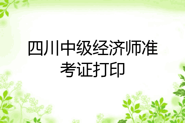 四川中级经济师准考证打印