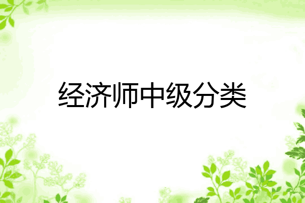 经济师中级分类