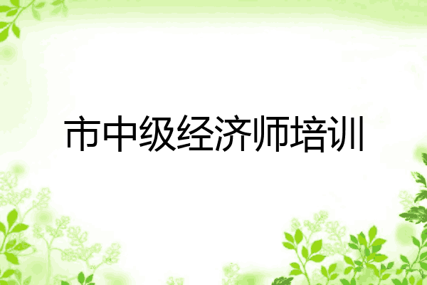 市中级经济师培训