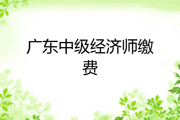 广东中级经济师缴费