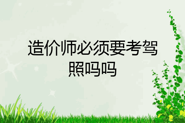 造价师必须要考驾照吗吗