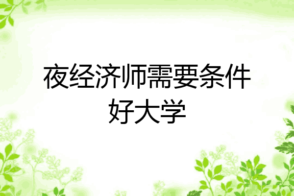 夜经济师需要条件好大学