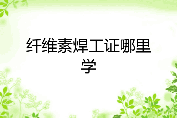 纤维素焊工证哪里学