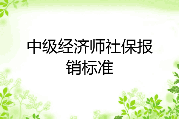 中级经济师社保报销标准