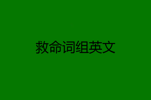 救命词组英文