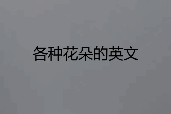 各种花朵的英文