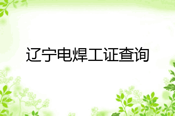 辽宁电焊工证查询