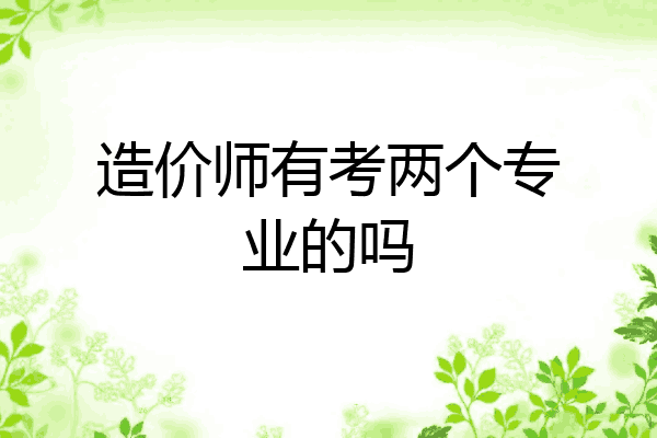 造价师有考两个专业的吗