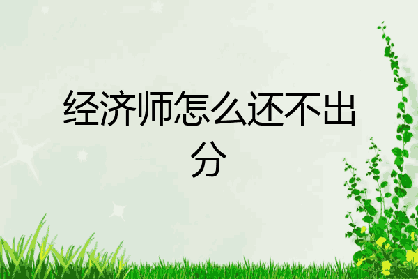 经济师怎么还不出分
