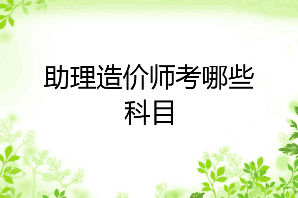 助理造价师考哪些科目
