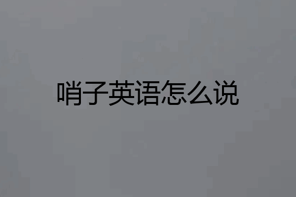 哨子英语怎么说