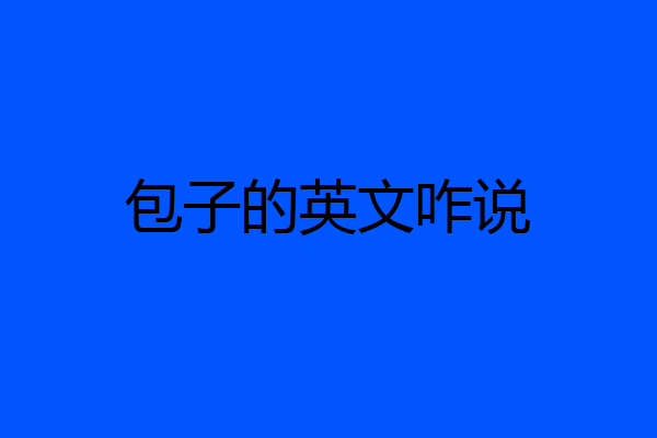 包子的英文咋说