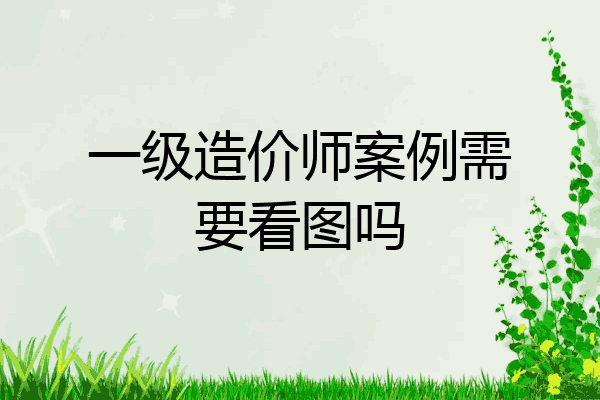 一级造价师案例需要看图吗
