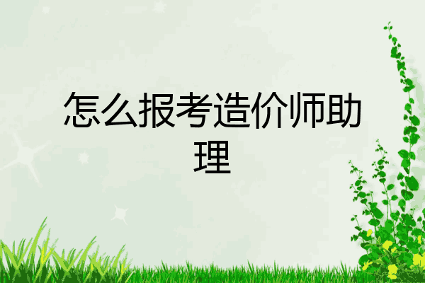 怎么报考造价师助理
