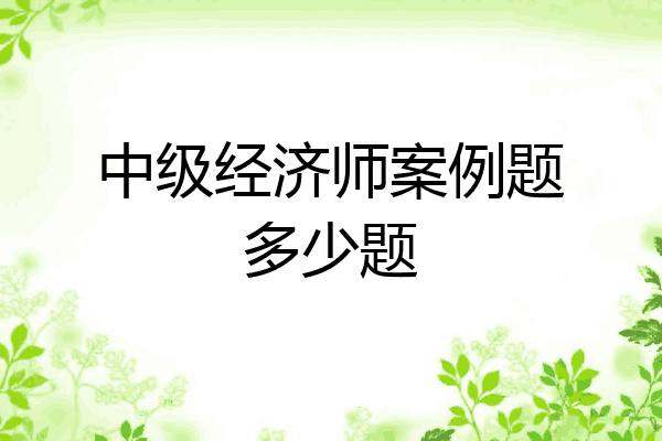 中级经济师案例题多少题