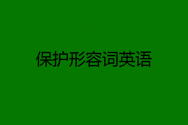 保护形容词英语