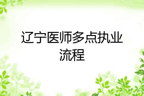 辽宁医师多点执业流程