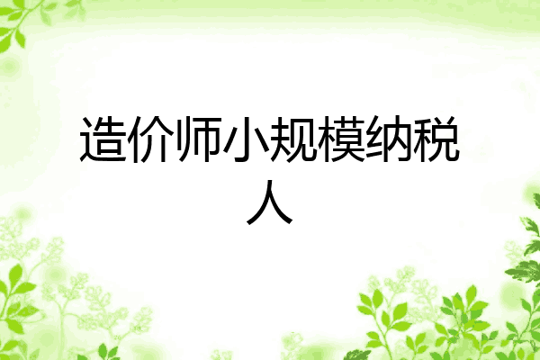 造价师小规模纳税人