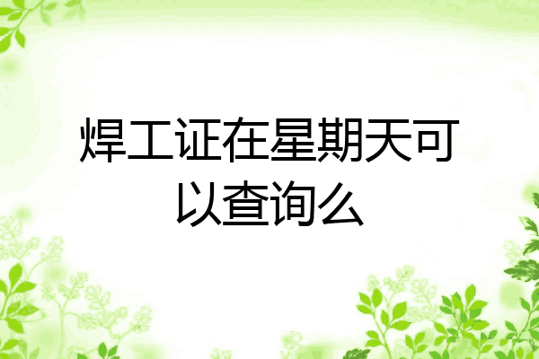 焊工证在星期天可以查询么