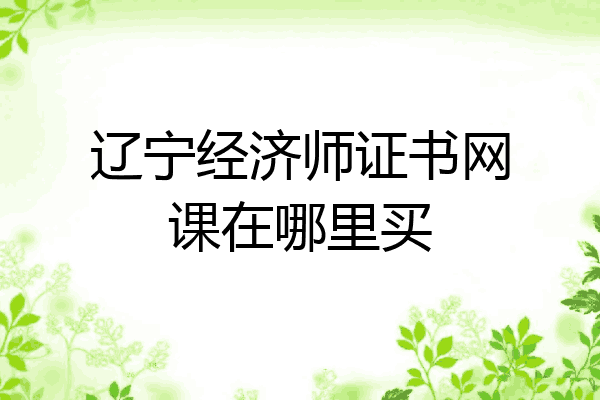 辽宁经济师证书网课在哪里买