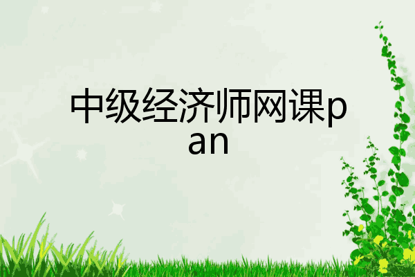 中级经济师网课pan