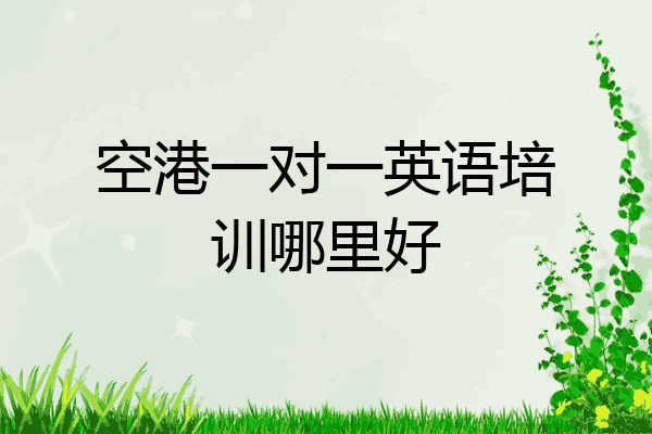 空港一对一英语培训哪里好