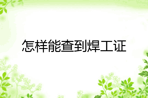 怎样能查到焊工证
