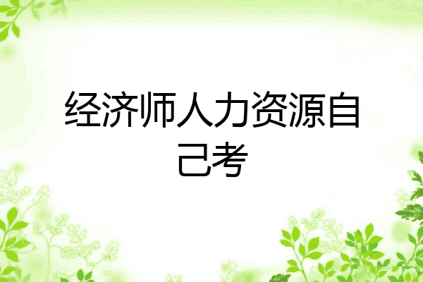 经济师人力资源自己考