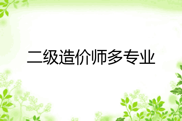 二级造价师多专业